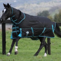 Turnout Rugs