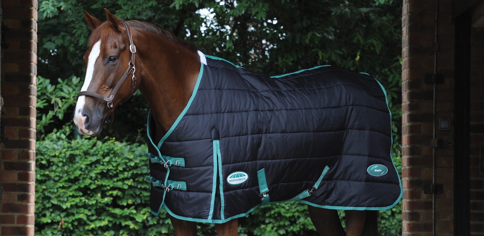 Stable Rugs