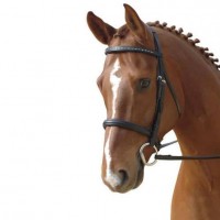 Parts For Albion KB Competition Snaffle 