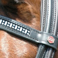 Albion KB Browbands
