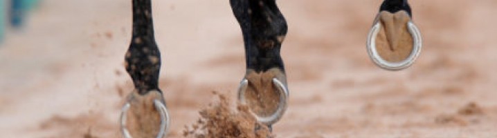Hoof
