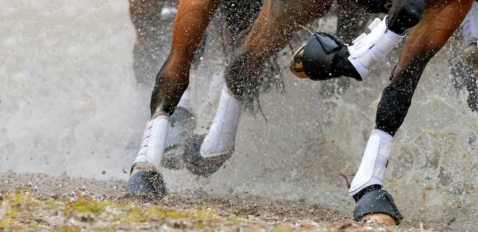 Boots & Leg Protection