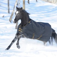 Bucas Autumn / Winter Turnout Rugs