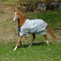 Bucas Spring / Summer Turnout Rugs