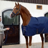 Bucas Spring / Summer Stable Rugs Bucas Spring / Summer Stable Rugs