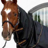 Bucas Turnout Neck Covers