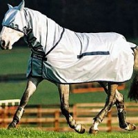 Fly Sheets