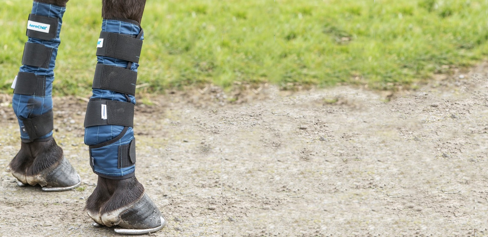 Therapy Boots