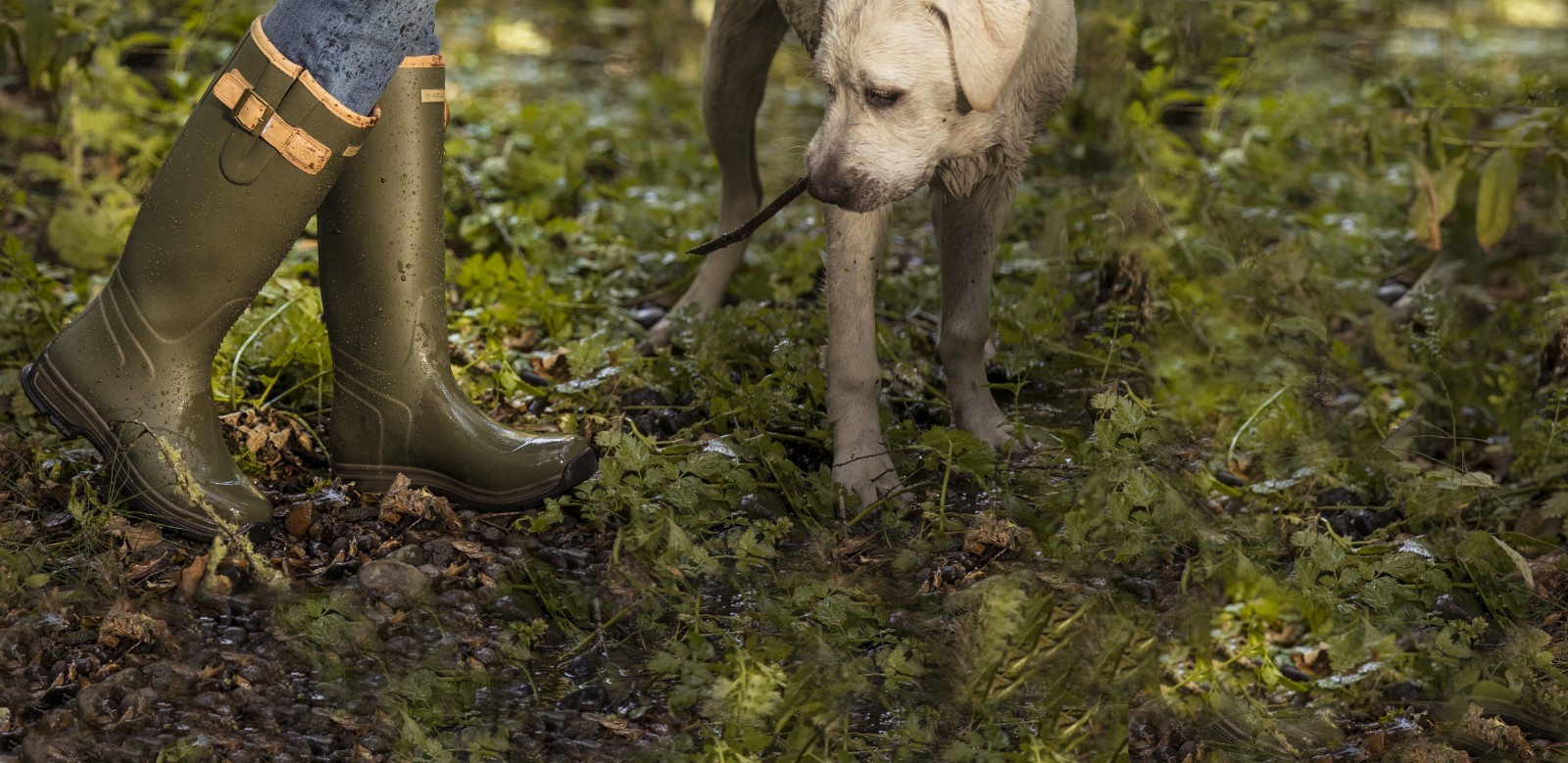 Wellington Boots