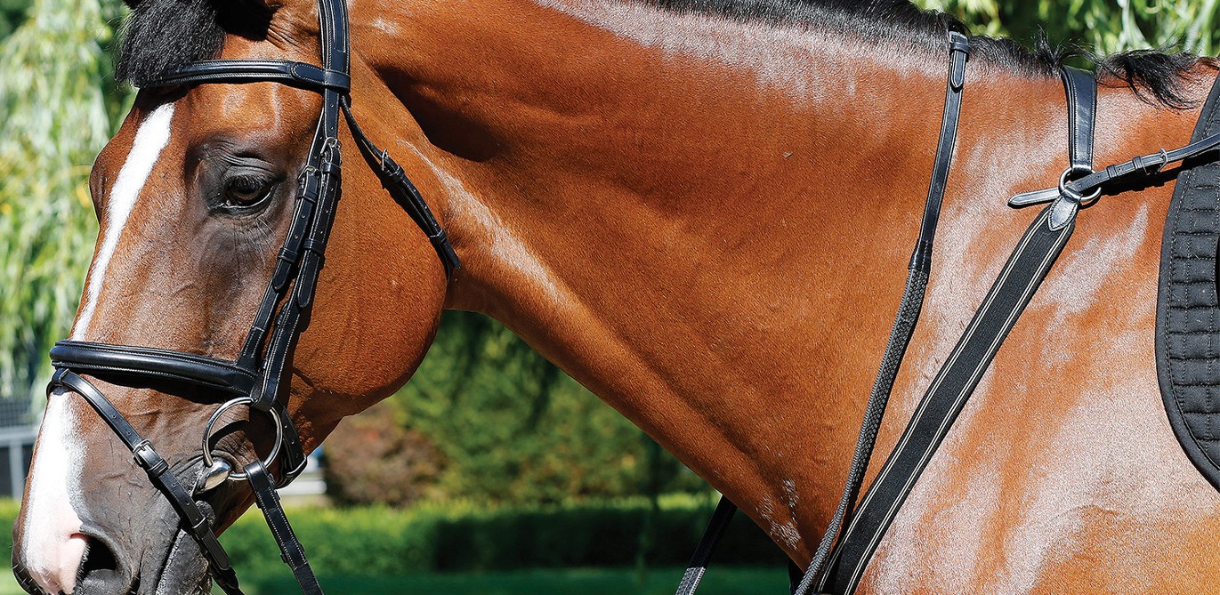 Bridles & Bridle Parts