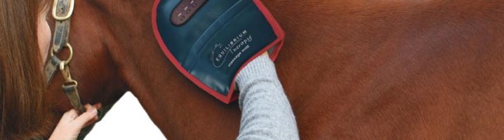 Equilibrium Massage Therapy