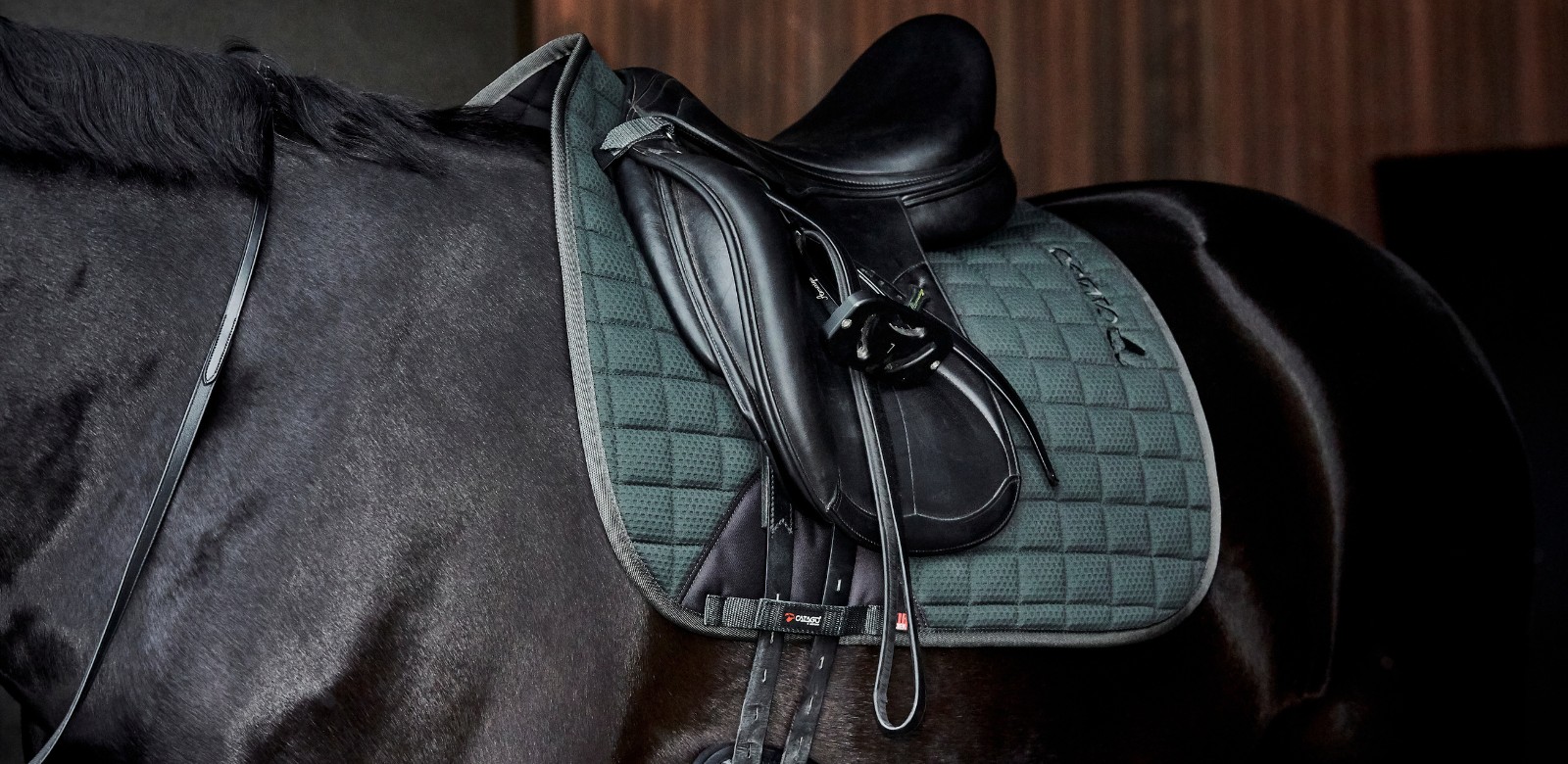 Dressage Numnahs & Saddlepads