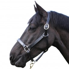 Mark Todd Patent Leather Headcollar (Black)