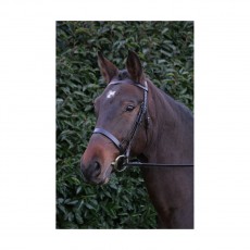 Hy Hunter Bridle with Rubber Reins