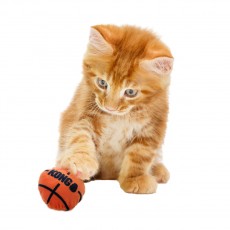 KONG Cat Sport Balls (Assorted Colours)