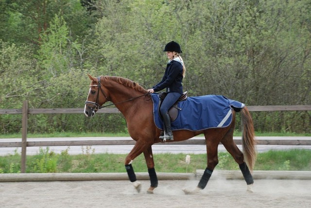 638 Riding Rug