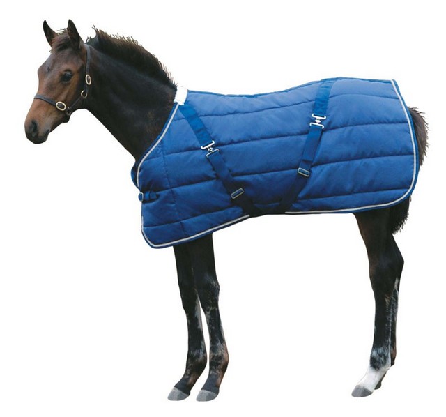 Weatherbeeta Jasper Foal Rug