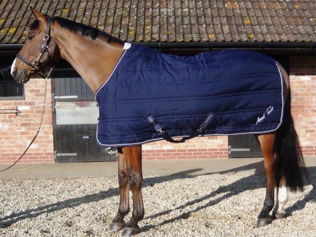 Mark Todd Quilted Lightweight Stable Rug (Navy)