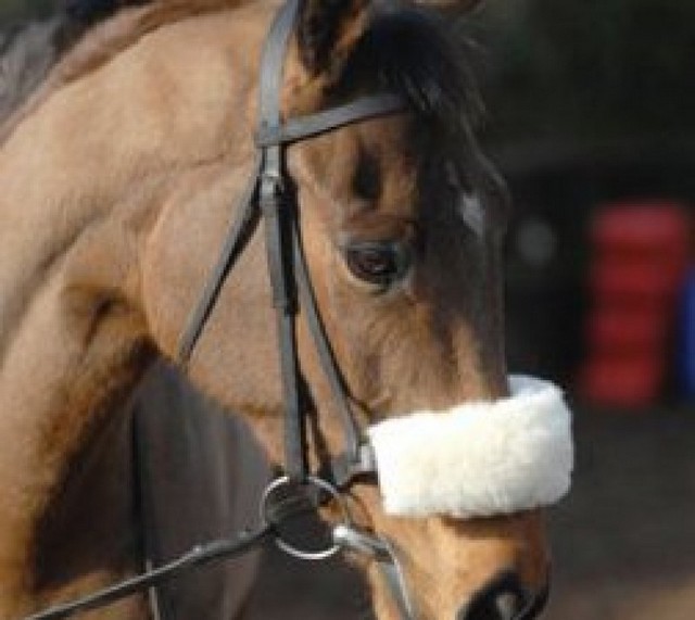 Noseband Cover in Luxury Wool Noseband Cover in Luxury Wool