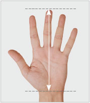 hand