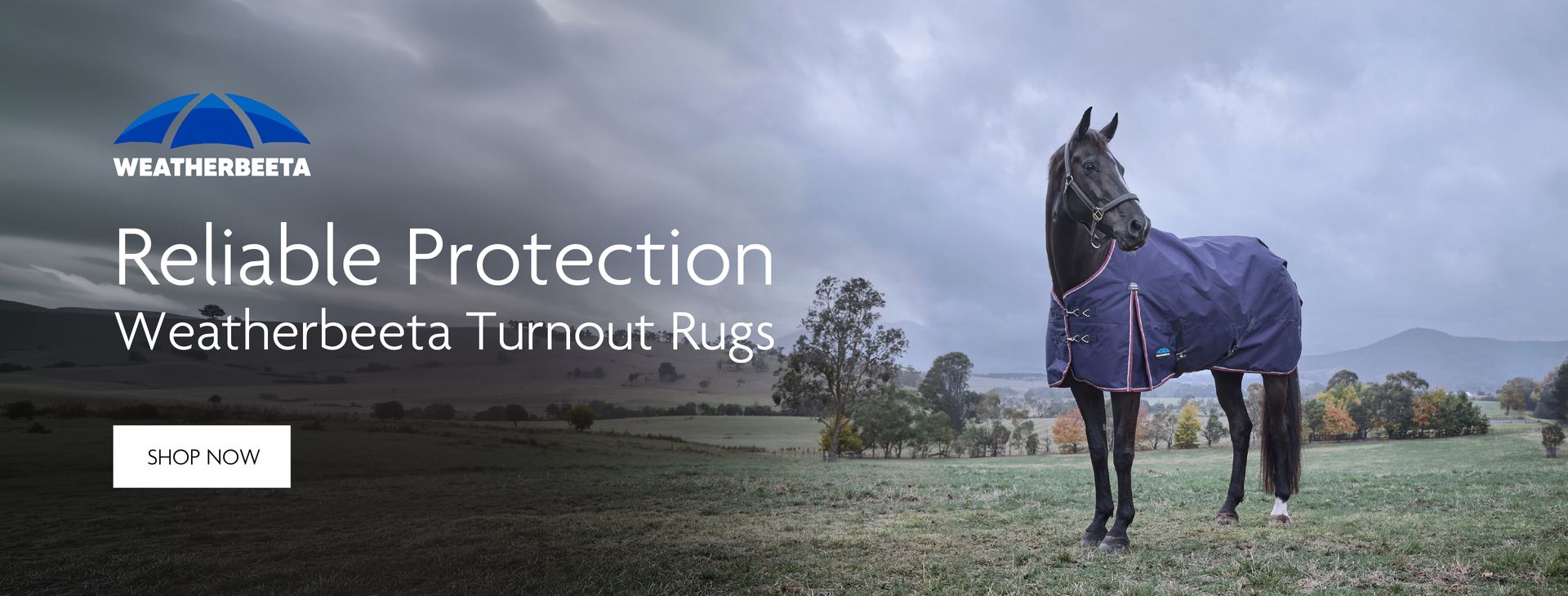 Shop Weatherbeeta Turnout Rugs
