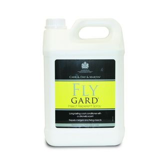 Carr &amp; Day &amp; Martin Flygard alternative