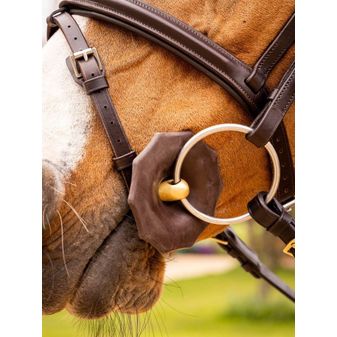 Acavallo Bit Guards (Brown) alternative