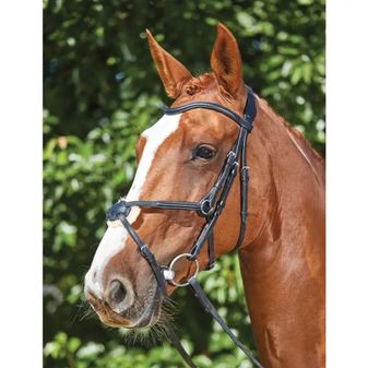 Collegiate Comfitec Grackle Bridle (Black)