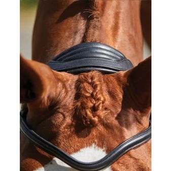 Collegiate Comfitec Grackle Bridle (Black) alternative