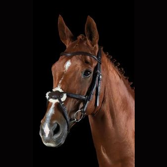 Collegiate Comfitec Grackle Bridle (Brown) alternative