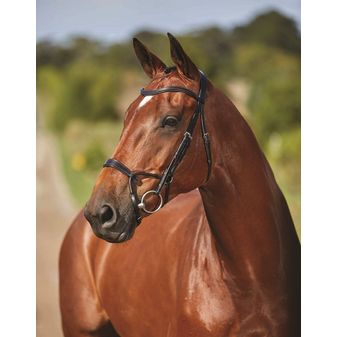 Collegiate Comfitec Training Bridle (Black) alternative
