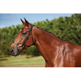 Collegiate Comfitec Training Bridle (Brown) alternative