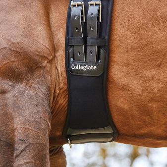 Collegiate Memory Foam Dressage Girth (Brown) alternative