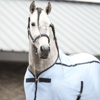 Equilibrium Quick Chill Cooling Rug alternative