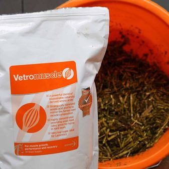 Animalife Vetromuscle (1500g) alternative