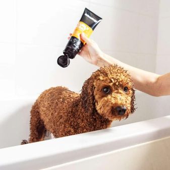 Animology Curly Coat Shampoo (250ml) alternative