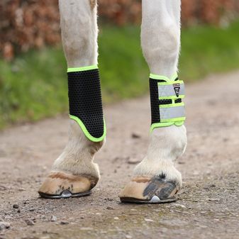 Equilibrium Tri-Zone Brushing Boots - NEW (Fluorescent) alternative