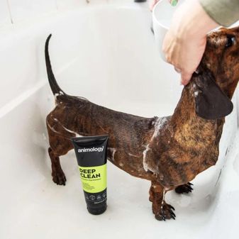 Animology Deep Clean Shampoo (250ml) alternative