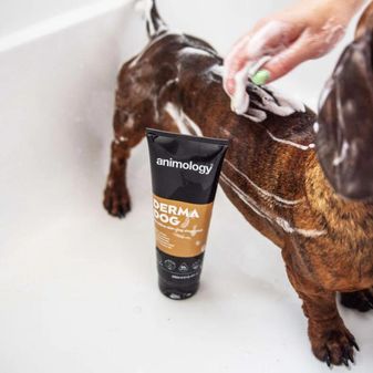 Animology Derma Dog Shampoo (250ml) alternative