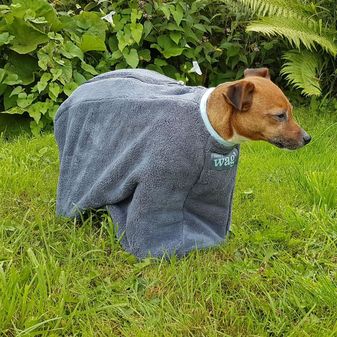 Henry Wag Drying Bag alternative