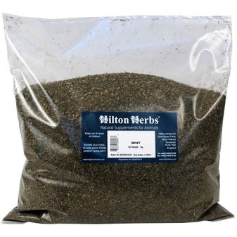 Hilton Herbs Mint alternative