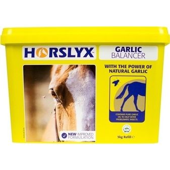 Horslyx Garlic alternative