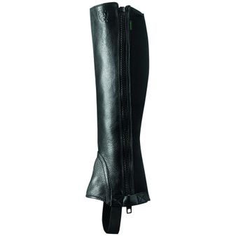 Ariat Breeze Chap Half Chap (Black) alternative
