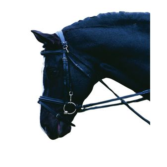 Kincade Chambon (Black) alternative