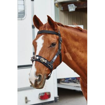Kincade Coordinate Lunge Cavesson (Black) alternative