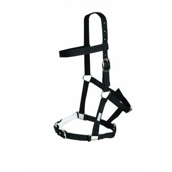 Kincade Nylon Padded Lunge Cavesson (Black)