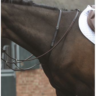 Kincade Running Martingale (Brown)