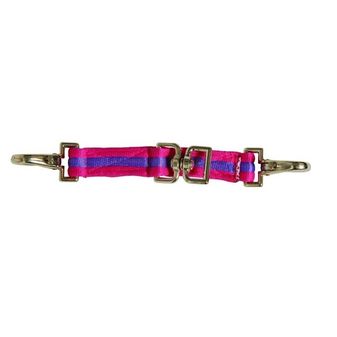 Kincade Two Tone Lunging Attachment (Pink/Purple)