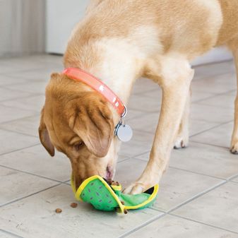 KONG Ballistic Hide N Treat (Assorted Colours) alternative