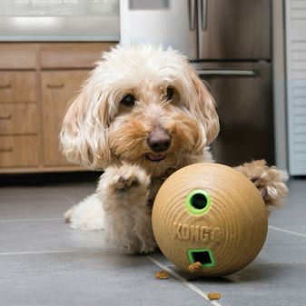 KONG Bamboo Feeder Dumbbell alternative